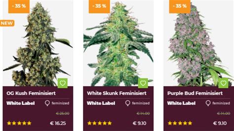 cannabis samen kaufen deutschland